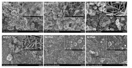 Ni-Fe 조성에 따라 수열합성법으로 개발된 수산화물의 SEM 분석