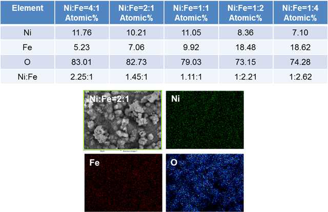합성된 Ni-Fe 수산화물의 조성분석 및 표면 원소 분포도
