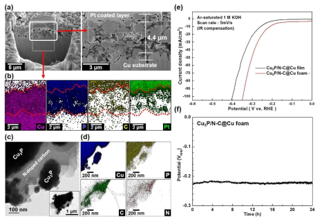 구리 인화물/N-도핑 탄소의 (a) 측면 SEM 이미지 및 (b) 측면 SEM-EDS mapping 이미지와 (c) TEM 이미지 및 (d) TEM-EDS mapping 이미지, (e) 구리 인화물/N-도핑 탄소의 HER 활성 결과 및 (f) HER 내구성 평가를 위한 정전류 인가에 따른 전압의 변화 측정 그래프