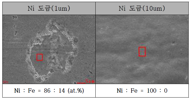 내구성 평가 후 Ni 도금(1, 10um) 표면 형상(SEM)