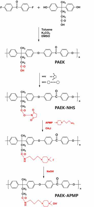 PAEK와 PAEK-NHS, 관능화된 PAEK-APMP 합성도