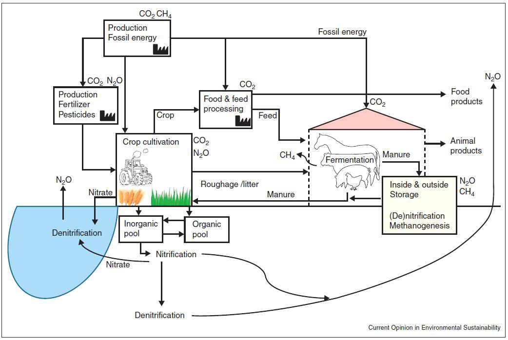축산 생산과 관련된 이산화탄소 (CO2), 메탄 (CH4), 아산화질소 (N2O)의 배출 흐름도