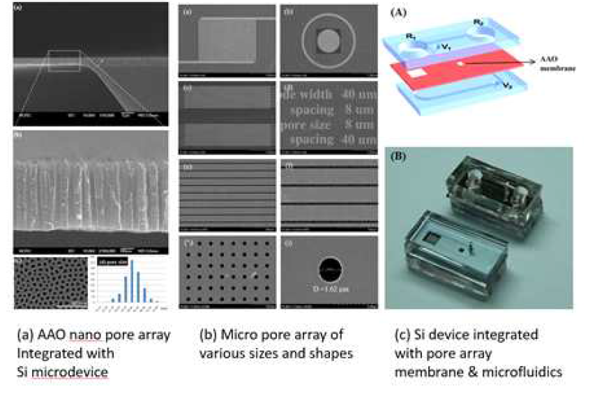 AAO-microchip 통합 및 microfabrication 공정을 이용한 pore array 제작 기술