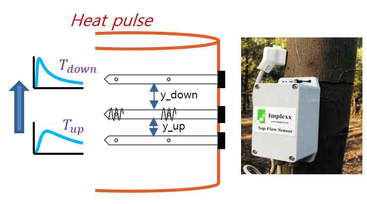 Heat pulse method