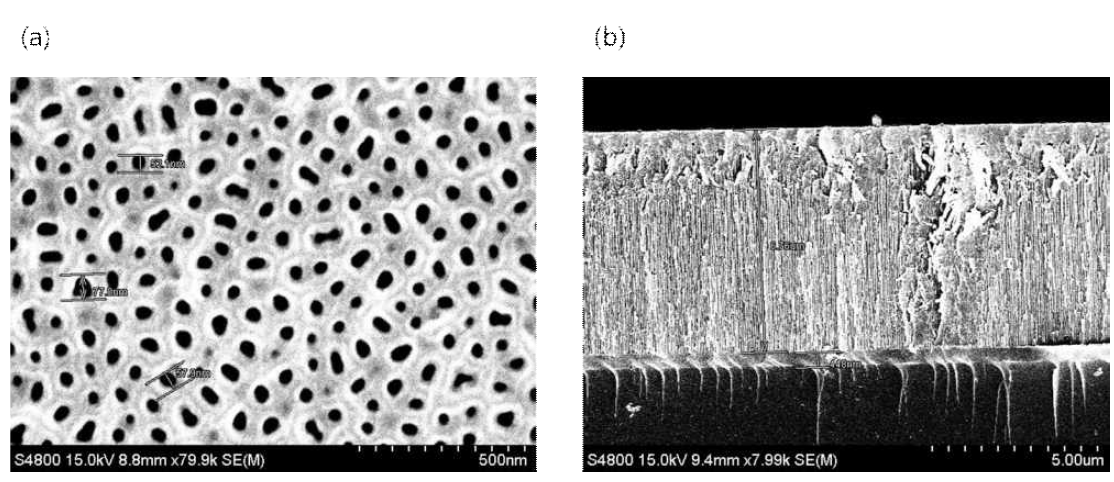 (a) AAO layer top view, 50 nm ~ 70 nm 수준의 pore가 형성 (b) AAO layer side view, 6 μm ~7 μm 수준의 AAO layer가 상부부터 하부까지 형성됨을 확인