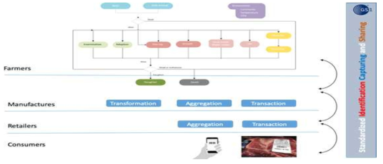 Pig supply chain