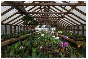 Tracking each vase of flower with barcode tag, cameras on the top or botton of farmhouse would collabrating in detect and determine flower status