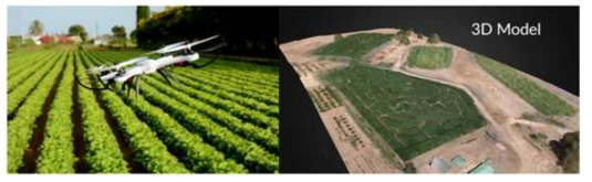 Drones fly over crops and make 3D maps