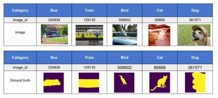 Segmentation ground truth as input of CFD