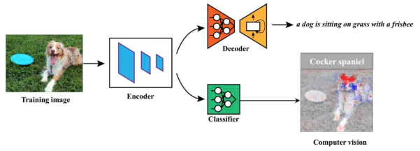 Two-head network for dissecting catastrophic forgetting.