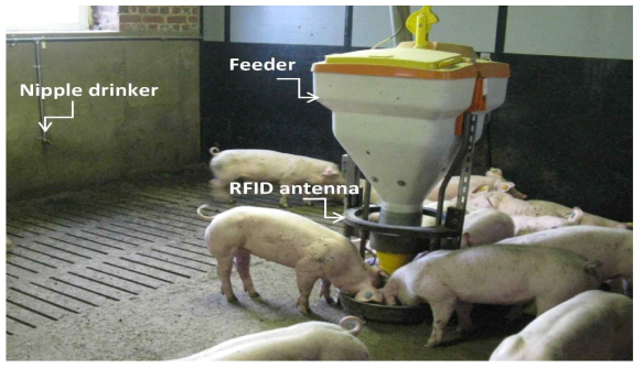 RFID based feeding station