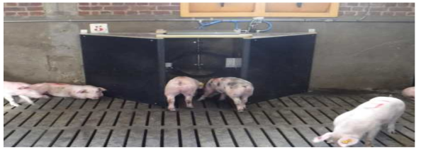 Pig Wise RFID drinking system