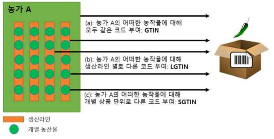 농축산물에 대한 GTIN, LGTIN, SGTIN 부여 개념 예시도