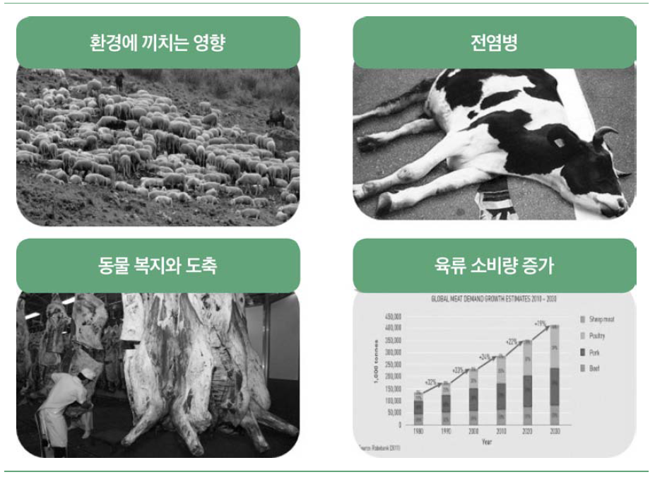 공장식 육류생산의 환경적, 윤리적 요소 및 향후 육류 소비량 전망