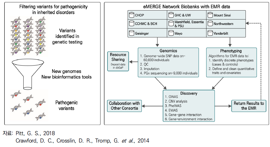 유전체/유전자 데이터의 임상적 정보로의 적용 플랫폼