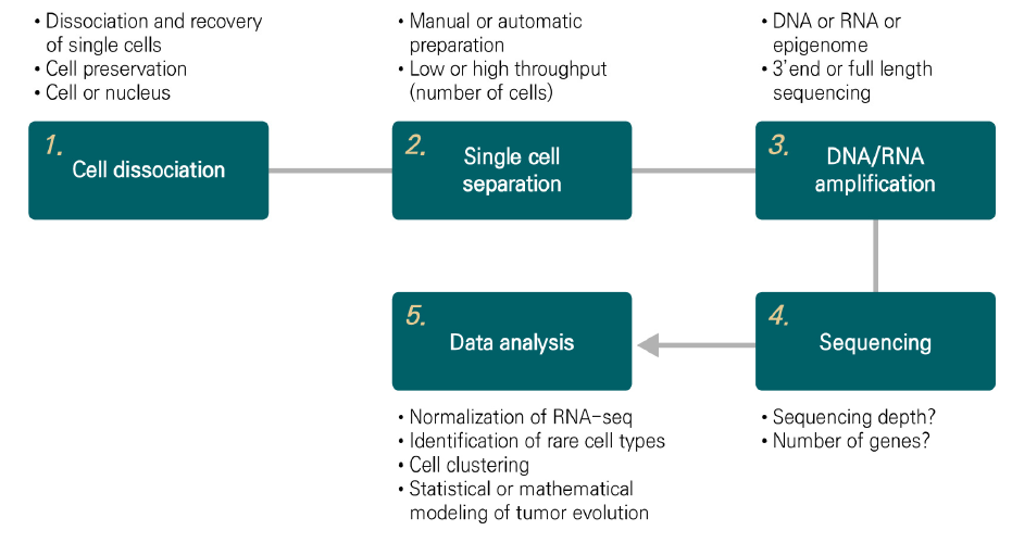 싱글셀 유전체정보 분석 단계