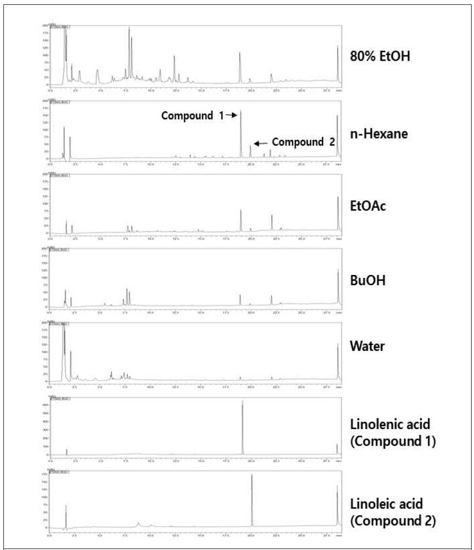 비비추 에탄올 추출물과 분리된 분획 그리고 활성 성분의 UPLC 크로마토그램