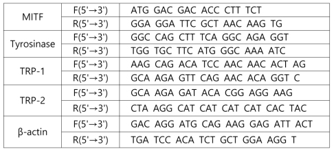 실험에 사용한 Primer sequence