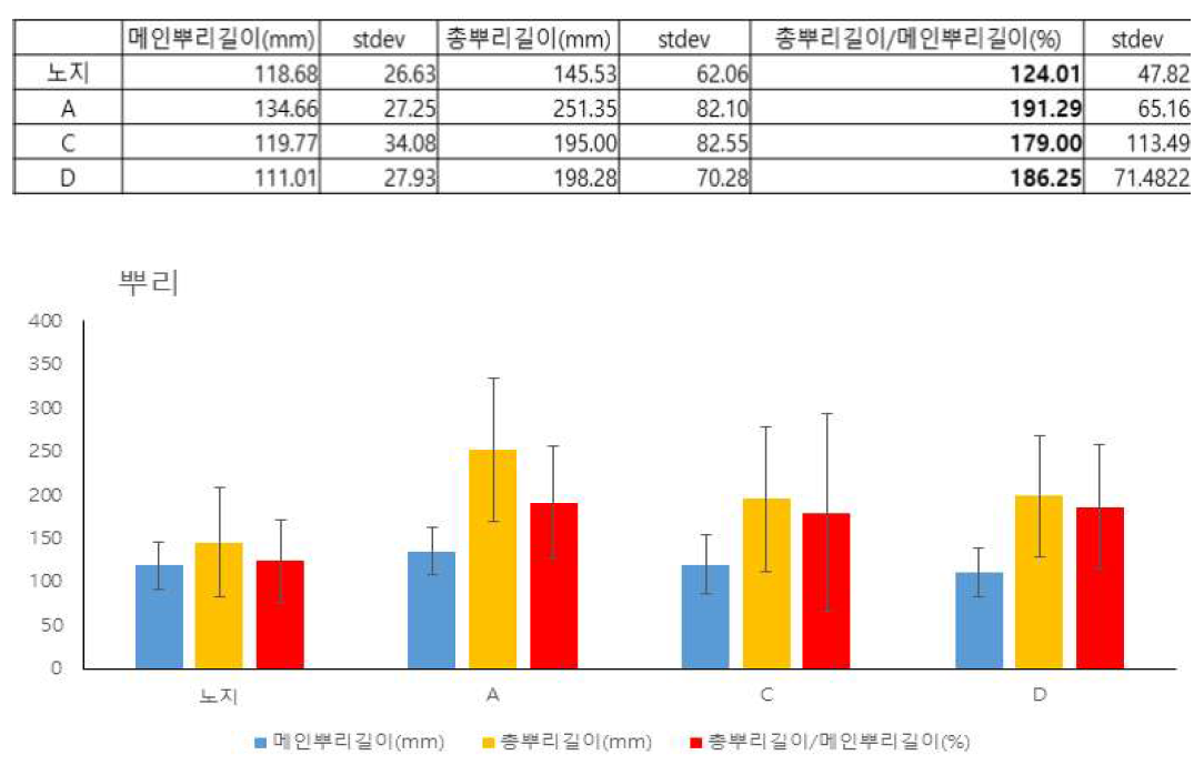 생장상태 확인을 위해 총 뿌리 길이와 메인 뿌리 길이의 비율 비교