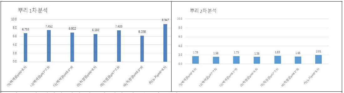 묘삼 뿌리의 전체 사포닌 함량 비교(1,2차 분석)