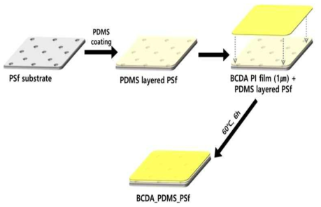BCDA_PDMS_PSf 복합막 제조 과정 모식도