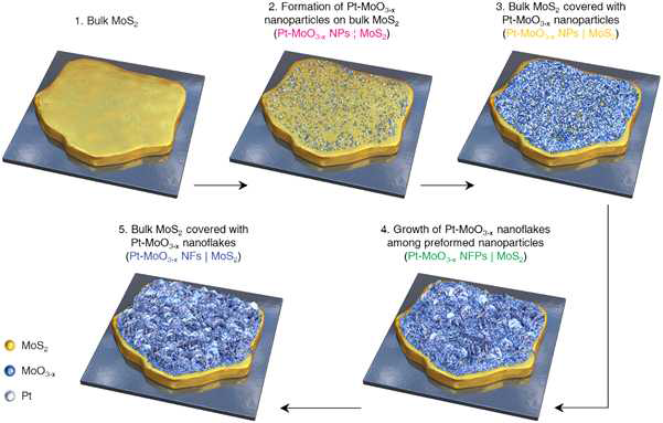 2차원 구조를 지닌 MoS2 촉매 물질 상에 새로운 나노구조 복합체를 형성을 통한 표면 개질을 위한 합성 방법 모식도