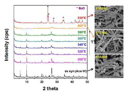 Ba-MOF의 온도에 따른 구조 및 표면 형상 특성