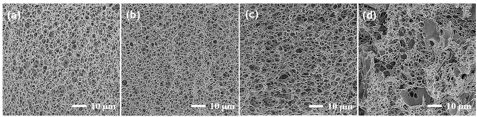 (a) 1, (b) 10, (c) 20, (d) 60 wt% TCNC/PI foam 단면의 주사전자현미경 사진