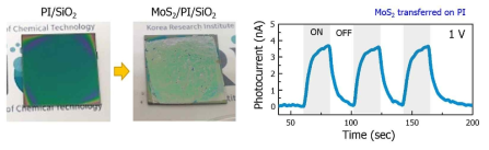 광경화형 폴리이미드 박막위에 전사된 MoS2 소자의 광응답성