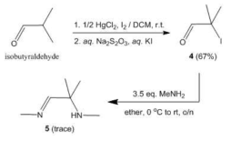 Asymmetric amine 합성 방법