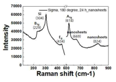 수열합성법을 통해 합성한 TiO2 나노시트의 라만 스펙트럼 분석결과