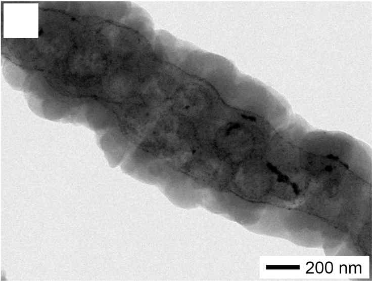 PtNP-MCNF 전극을 이용한 리튬 -공기 전지 방전 후 TEM 이미지