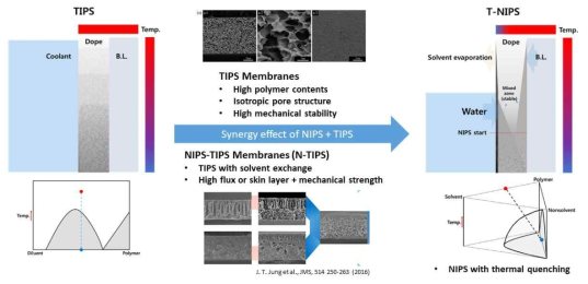 T-NIPS 분리막 형성 과정 비교