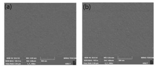 코팅 전 (a)과 후(b)의 나노여과막의 표면층의 SEM images