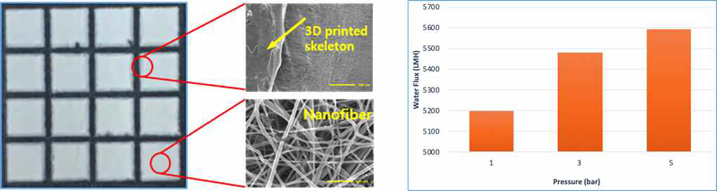 3D 프린팅 skeletoned ultra-thin 분리막 및 수투과도