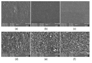 소결 후 (a) 600-S, (b) 800-S, (c) 1000-S, (d) 600-L, (e) 800-L, (f) 1000-L γ-alumina 복합 중공사막의 SEM images