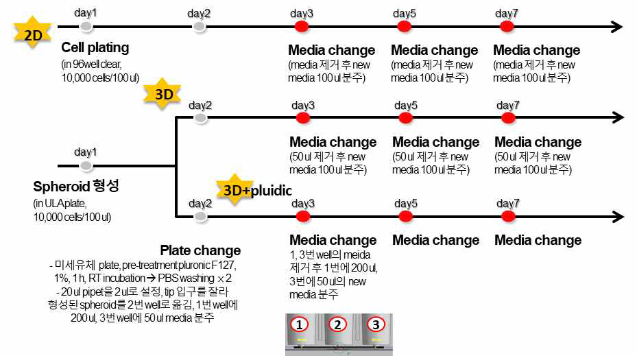 미세유체플레이트 테스트 flow-chart