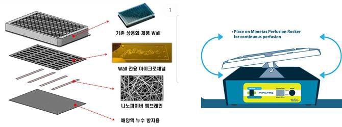 제작된 미세유체플레이트와 Rocking system