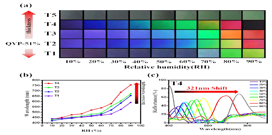 QVP-51%를 두께 변화에 따른 색변화 이미지