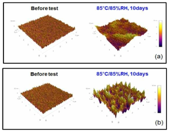 85°C/85%RH, 10일 후 배리어 필름의 모폴로지 측정 결과. (a) SiNx 배리어 필름, (b) SiOx 배리어 필름