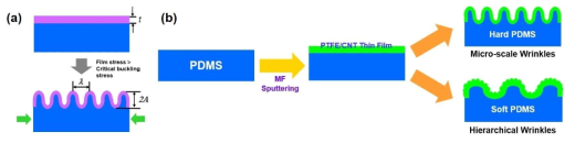 (a) Wrinkle의 형성 방법 및 (b) substrate의 유변물성 따른 wirnkle의 형상
