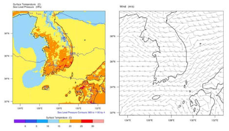 WRF 모델을 통한 강풍 사례 모의 결과 (좌: 지표 기온, 우 : 바람 벡터)