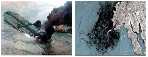 기름으로 오염된 해상환경