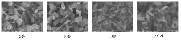 시간별 화학적 증착된 금속의 나노 구조 형상