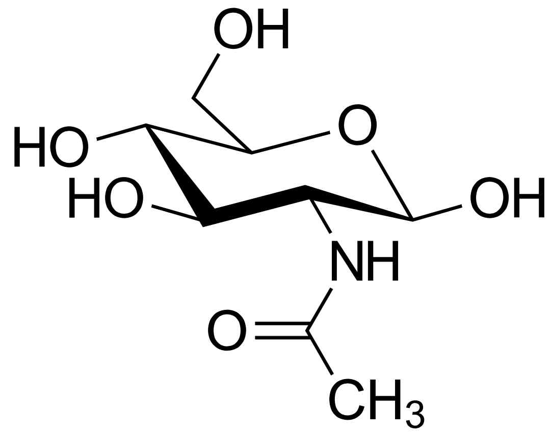 N-Acetyl glucosamine