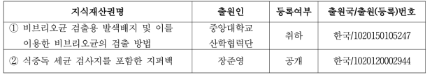 국내 관련 기술 대표 특허 현황