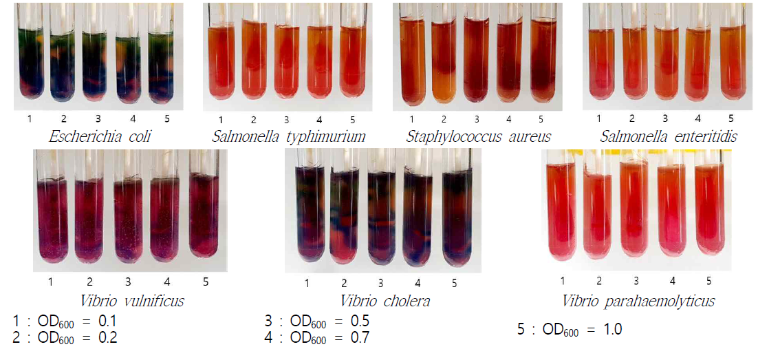 Vancomycin 추가 Vial 배지 배양 3반복