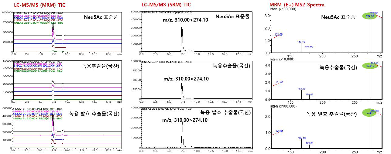 검체(녹용원료와 발효 녹용 추출물)에 중 시알산(Neu5Ac)에 대한 LC-ESI-MS/MS MRM과 SRM　TIC 및 MS2 spectra