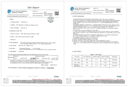 Insulation resistance Test