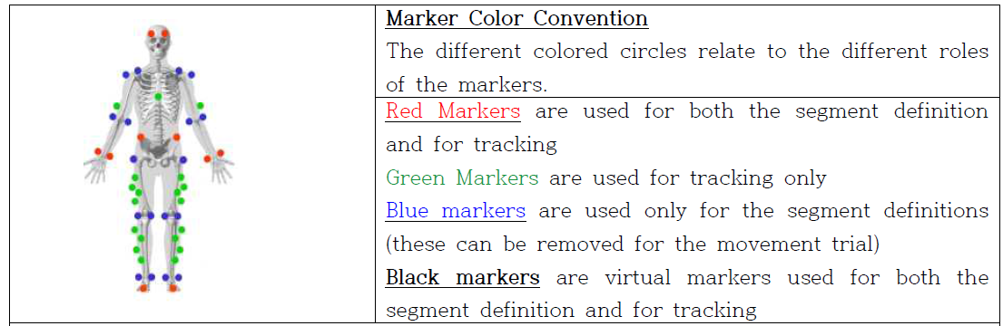 Marker system of Visual 3D